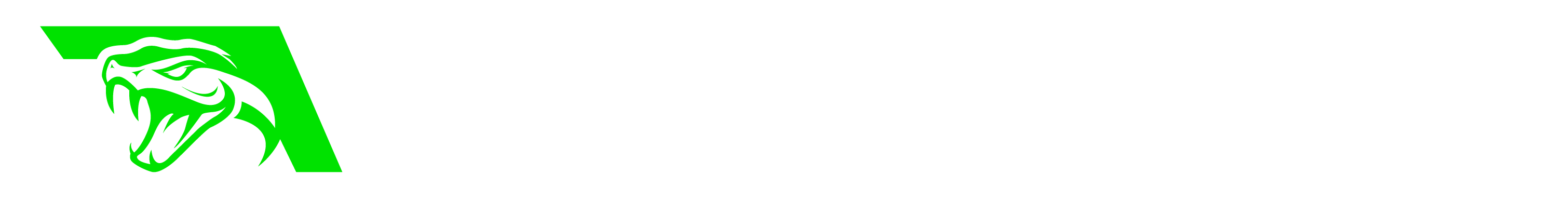 VYPERRACING